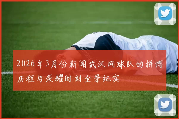 2026年3月份新闻武汉网球队的拼搏历程与荣耀时刻全景纪实